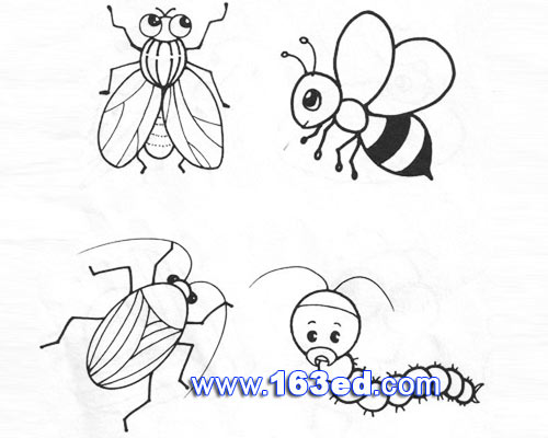 昆虫简笔画图片:蜜蜂2