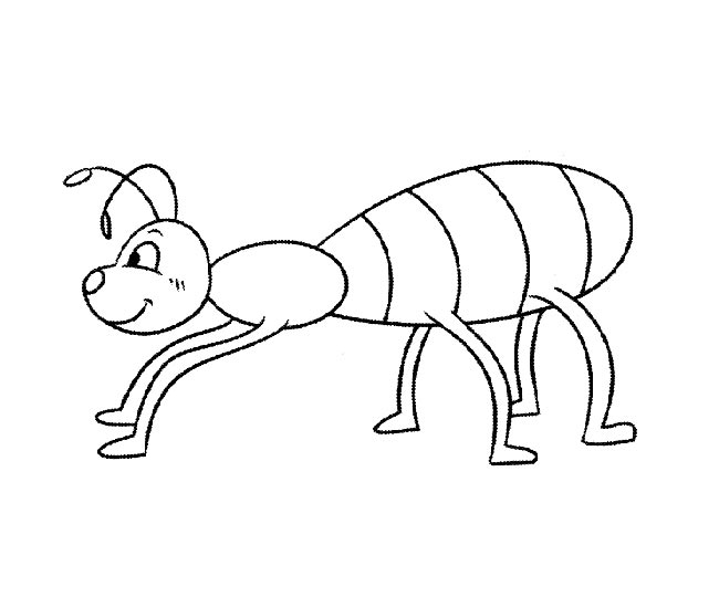 昆虫简笔画：卡通小蚂蚁1